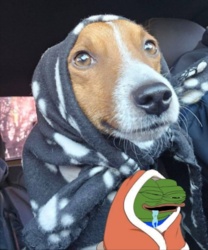 ac59fe8b-fa04-4cf1-9c6c-6ef5b4129820