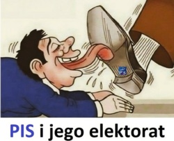 dd94ba2d-0797-48eb-bc37-e42011a361d1