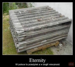 a7e94b58-72c3-4a98-9f80-64b2e6733234