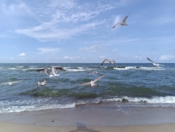 db133062-c319-4cd8-8f5c-d40bd720d5c9