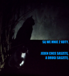 5645cda2-e28d-42d9-af70-c7e592eee419