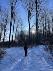 22ce126a-9795-4df0-8033-38bf5cb13265