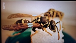 dbc11b59-8455-4500-aed7-b63415f148ca