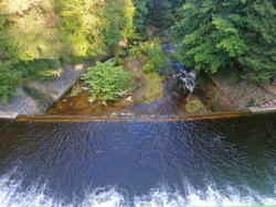 4d28416d-56c4-4d9d-adb3-f53850a4fba2