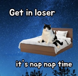 01d9ed0e-ee61-4399-bb8d-2ff4d04946b8