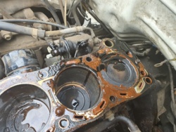 7509a009-1266-42ce-a0b2-1c770a9c9121