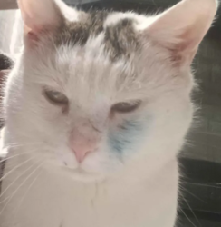 467ec79e-da69-40ac-9fe5-0bc32d0a3bbe