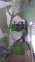 f77584a8-8406-4b58-936f-702eaa711e2a