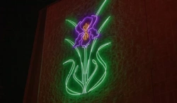 2183e0fa-12c8-4ab8-8470-d81e9f65abe5