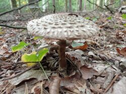 68e2bc9d-1b8d-49c8-8fcd-ff2f841ec3ea