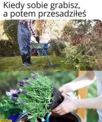 8031f06a-9461-4e70-8eb9-8baaaeafa4eb