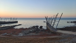 7012def9-7411-4c5c-aba2-3b2a99fc7d88