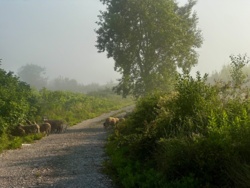 54fc22c9-b5ed-4b75-9c98-d085e42e1d03