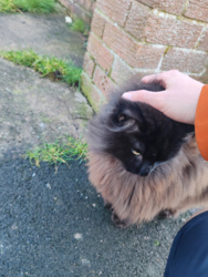 fb611136-54b0-447e-89da-6fcd9b75847d