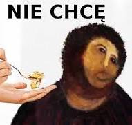 954287a2-4fa6-4a04-8e3f-dc9a17e4e4fb