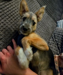 ced5e926-8cdf-4df7-9b22-757603220116