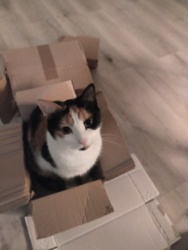 db9890e6-725f-400a-b895-e52f1583ae57