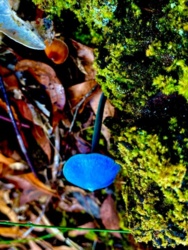 b1a1b89e-cef4-4a55-8379-7139f298356b