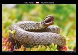 f7b436eb-f4c4-4c96-9733-780ca8db3be7