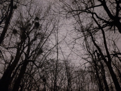 b3dea4e4-0613-4662-8917-b8b2eb49ee8d