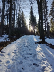 7b3820a6-d13a-406f-a0cb-5023da16609a