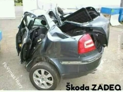 f4e574f9-55c8-4f8e-a693-a88f2c4c241f