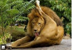 9171d3e0-0a62-4010-a7ea-63a24a7946f9