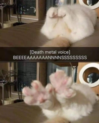 ea72bea7-87f3-46fa-b1df-fc74471c0813