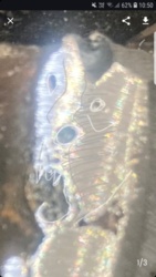 5cf084f3-6d52-4a08-baaa-20e766c0d4be