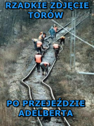 d8275464-9a33-4aaf-916a-ee8c8b2c03fd