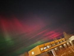 99ad947b-0925-4d5e-81d2-f1970e72b93f