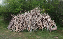 000a6bde-bb8b-4afd-8bd7-6d6ffc3fa332