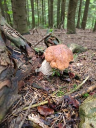 f174d143-3377-470d-9695-ce528852807b