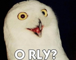 21ad1bcb-329e-4c38-a2d8-f0070d4ea04e