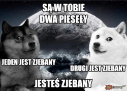 4118caa1-c5fe-4faa-a502-913e9a754780