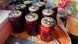 1363afde-f109-4b27-a318-43e772cd50f1