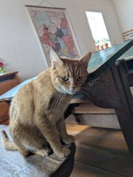 225320db-639a-4f2d-85d7-4cb33ea9da67