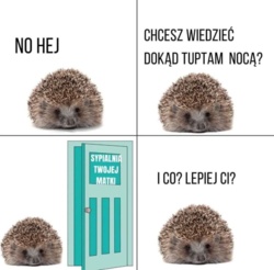 0301dbc0-1a46-40df-8e5d-df1622ef250a