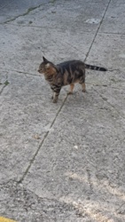 82cebfc9-5cc5-48f8-8206-f5b5b72d6f47