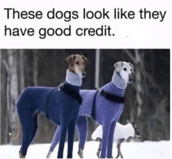 3c9741ef-d29f-4670-bb0b-1e2a46831ec3