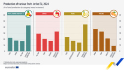 eb02d9d8-ff3a-41cc-ae3e-4d7c0b91ad1f