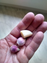 277479fa-310c-45dc-8c16-e3653173480f