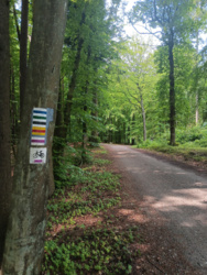 838f1b8d-2510-466d-96af-f44cc7a9a6d4