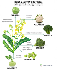 2f335e95-bdaa-41d4-be0f-d7a4af3e6ac2