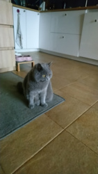 ecd5a7ee-8849-4ce0-a7c0-f7c6a1972c87