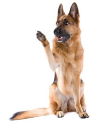 22fb7e12-e3d9-4951-a665-88196b0adf44