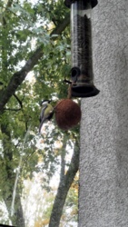 325ed1a9-4a60-4ef1-9234-a78e5cafc0bd