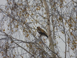 f6c762f2-9718-4645-9ede-f05982dd82b1