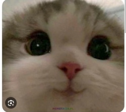 8a945f5a-f7b0-4742-8164-c06e9f04def2