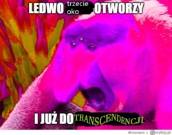 d7dc99c6-94cd-4555-bf4f-9e3d23f327e8